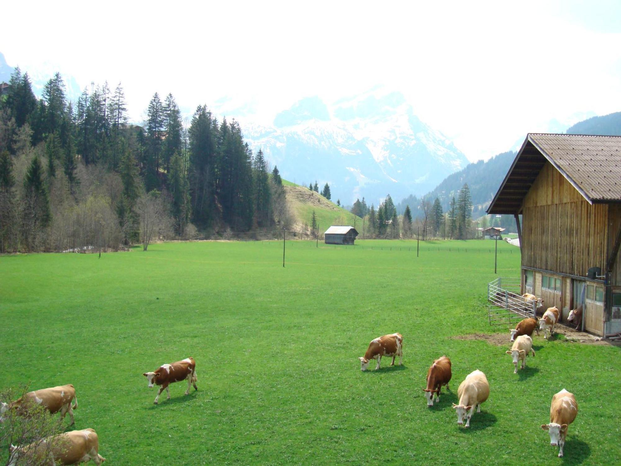 Ferienwohnung Casa Antica Gstaad Exterior foto